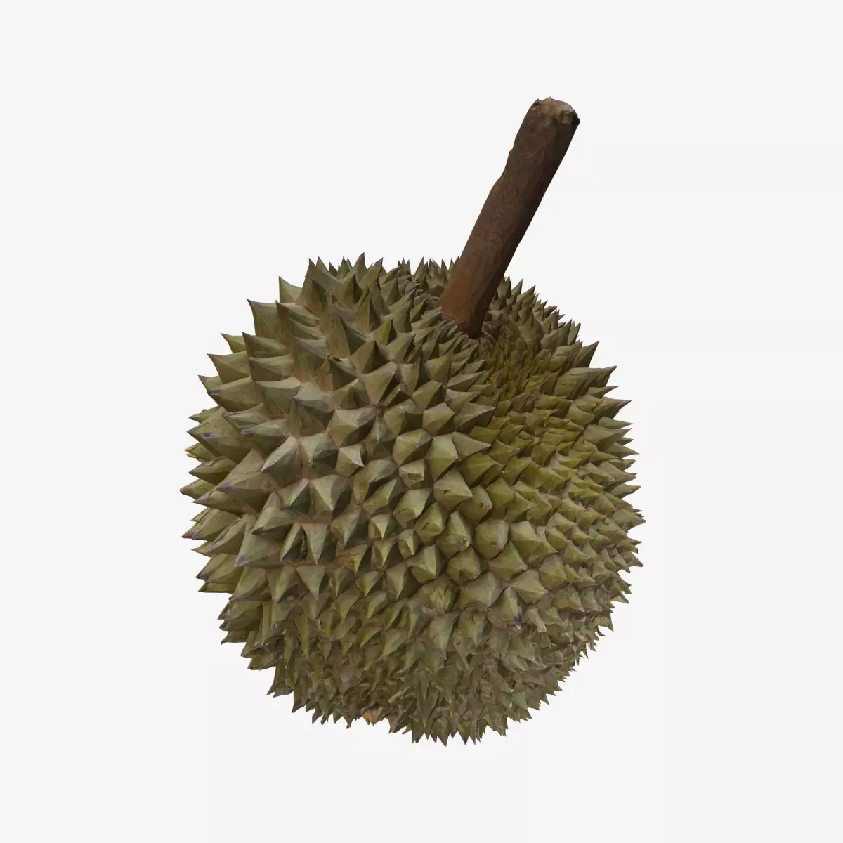 DURIAN Low-poly 3D model_0