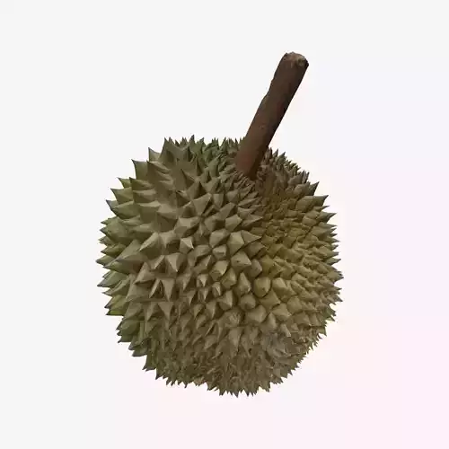 DURIAN Low-poly 3D model