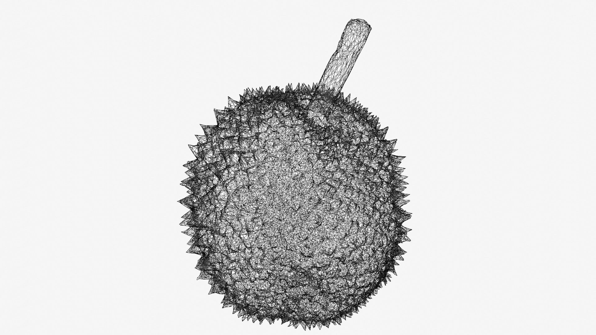 DURIAN Low-poly 3D model_10