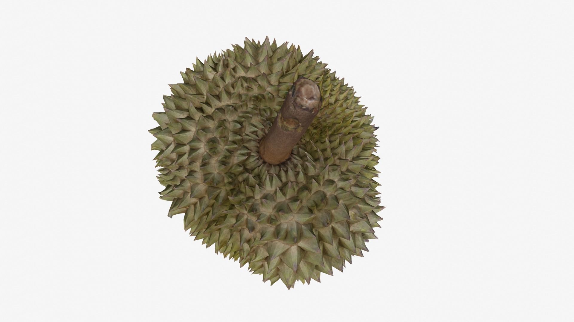 DURIAN Low-poly 3D model_2