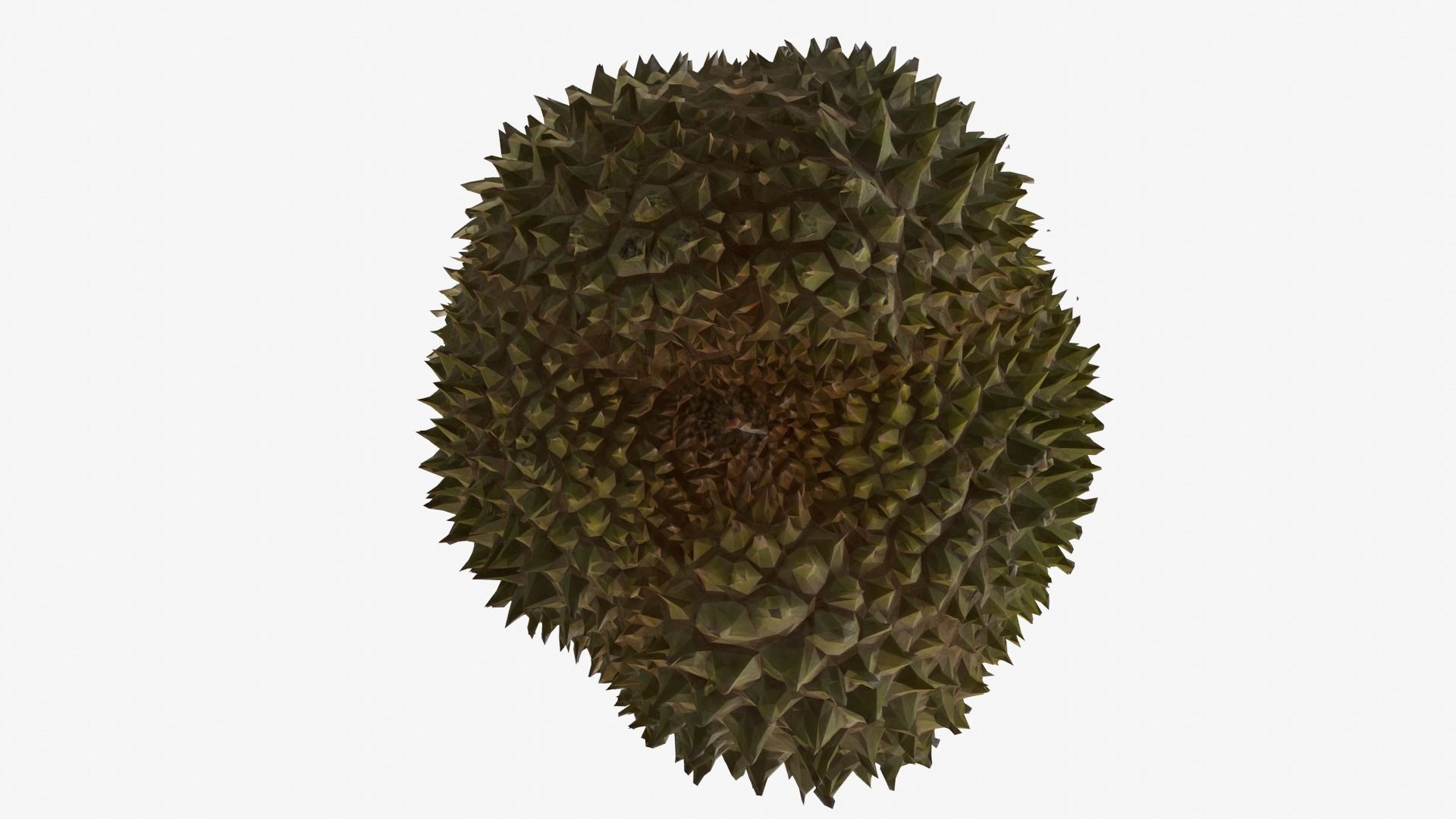 DURIAN Low-poly 3D model_5