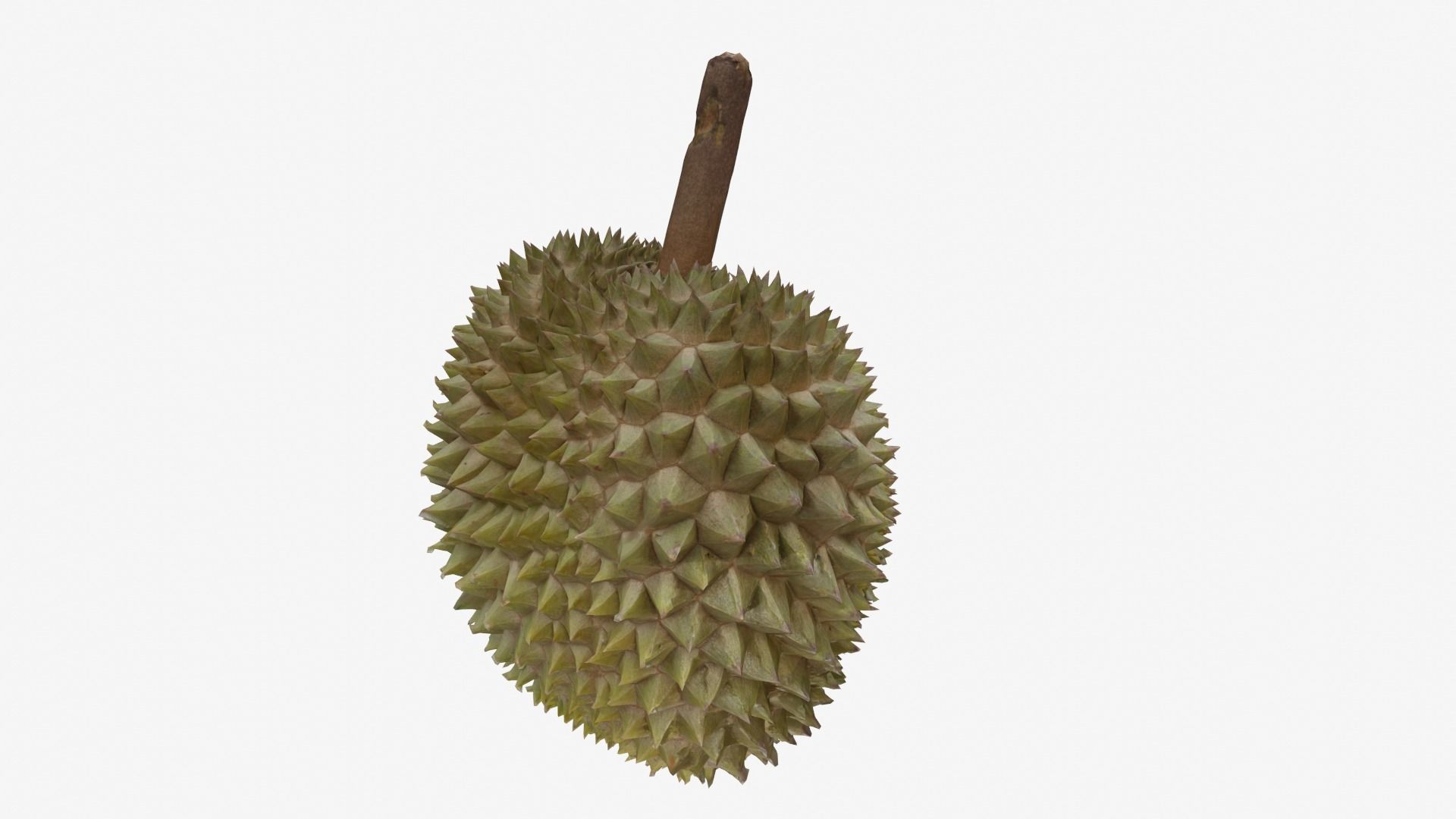 DURIAN Low-poly 3D model_3