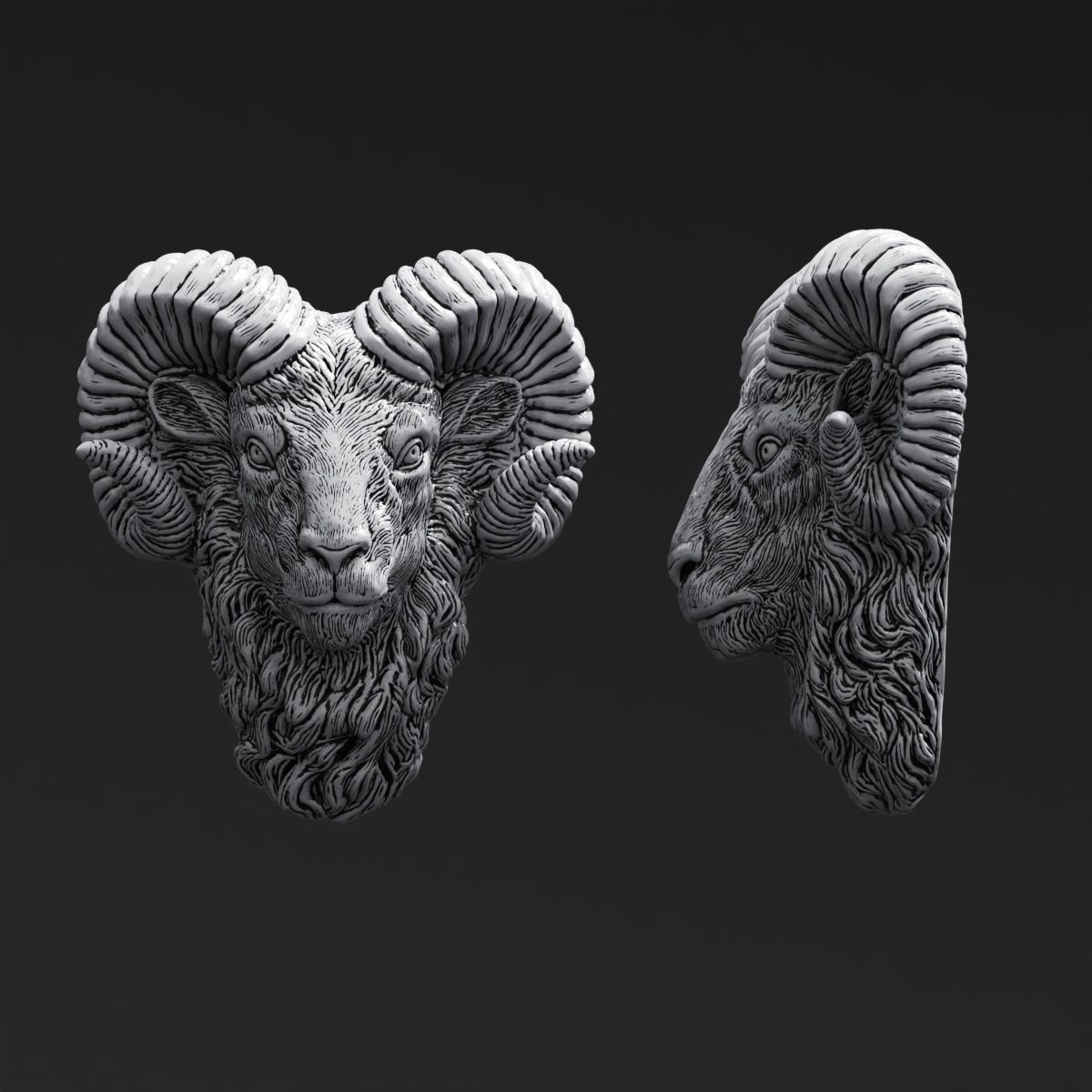 Ram Goat head 3d Model 3D print model_3