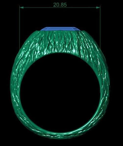 12 rings 3D print model_26