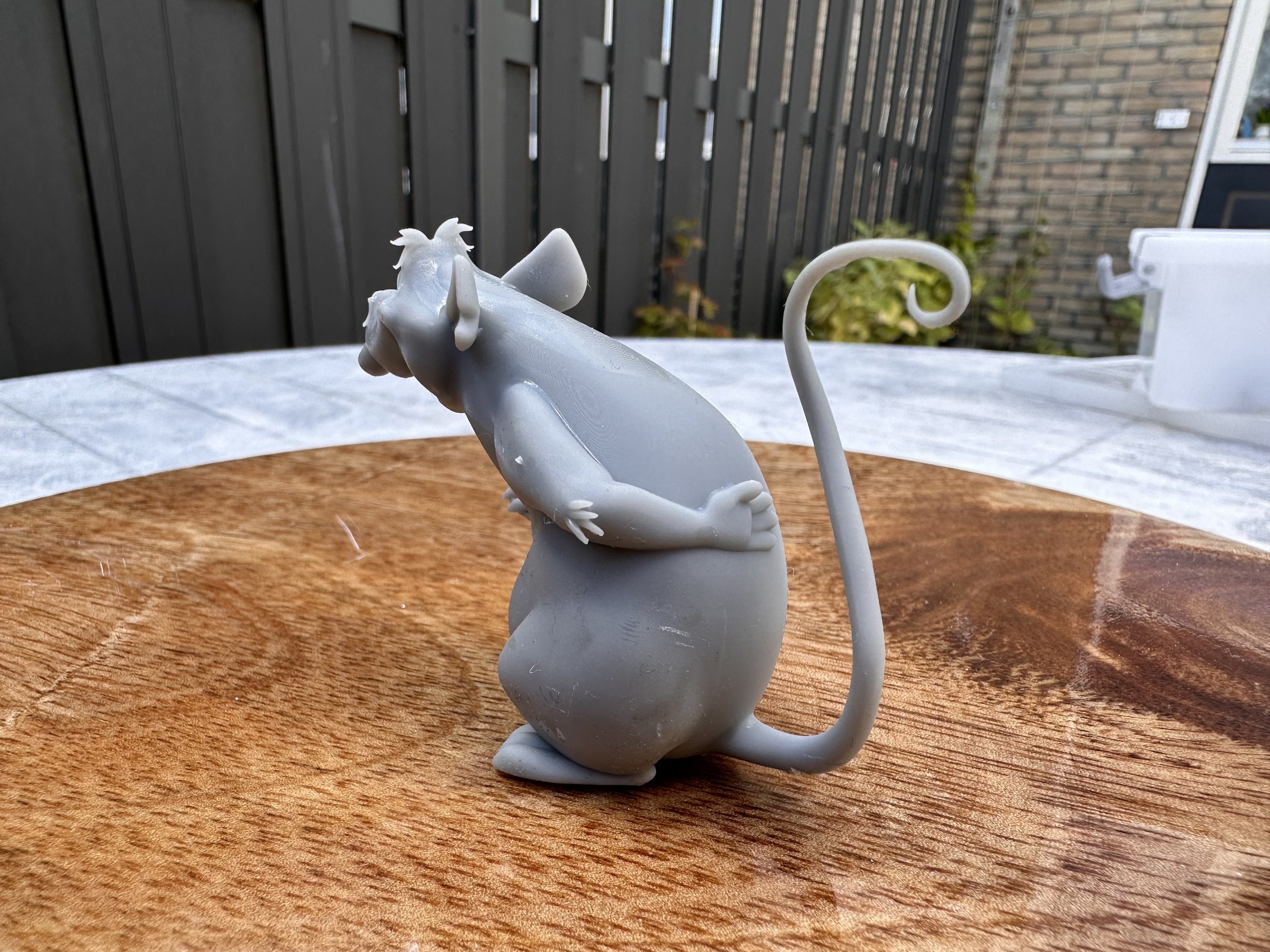 Rat 3D print model 3D print model_2