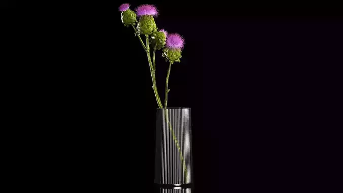 Beautiful bouquet of dried Thistle thorn flowers in a  vase 