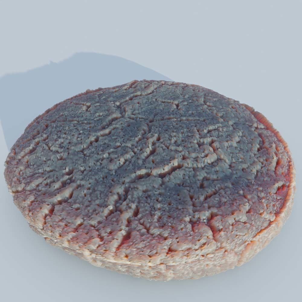 cookies  3D model_18