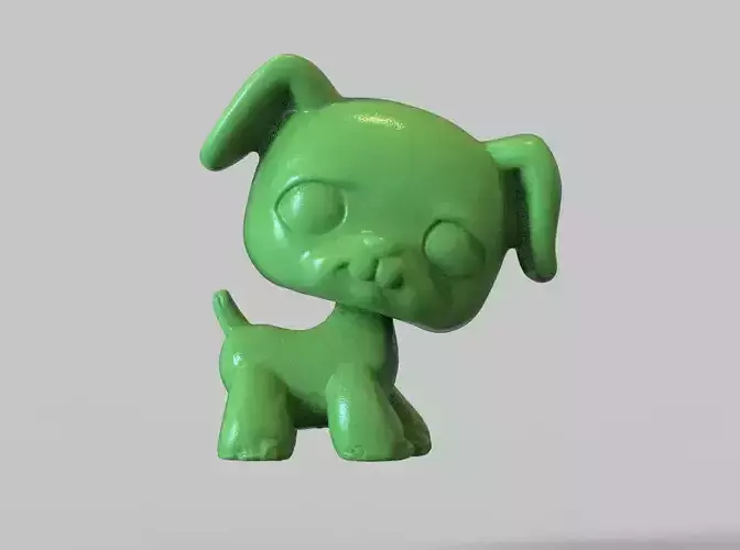 dog toy