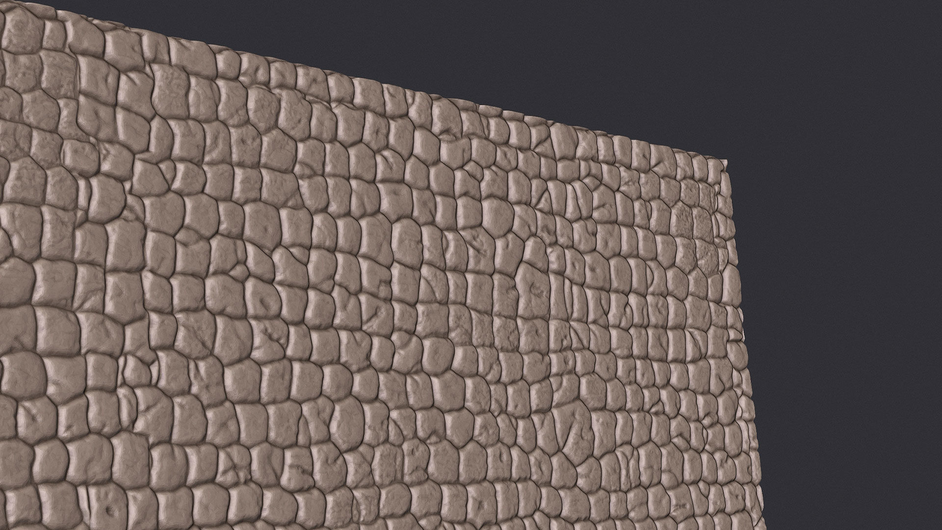 3D Crocodile Skin Fabric Leather Seamless Texture 3D print model_6
