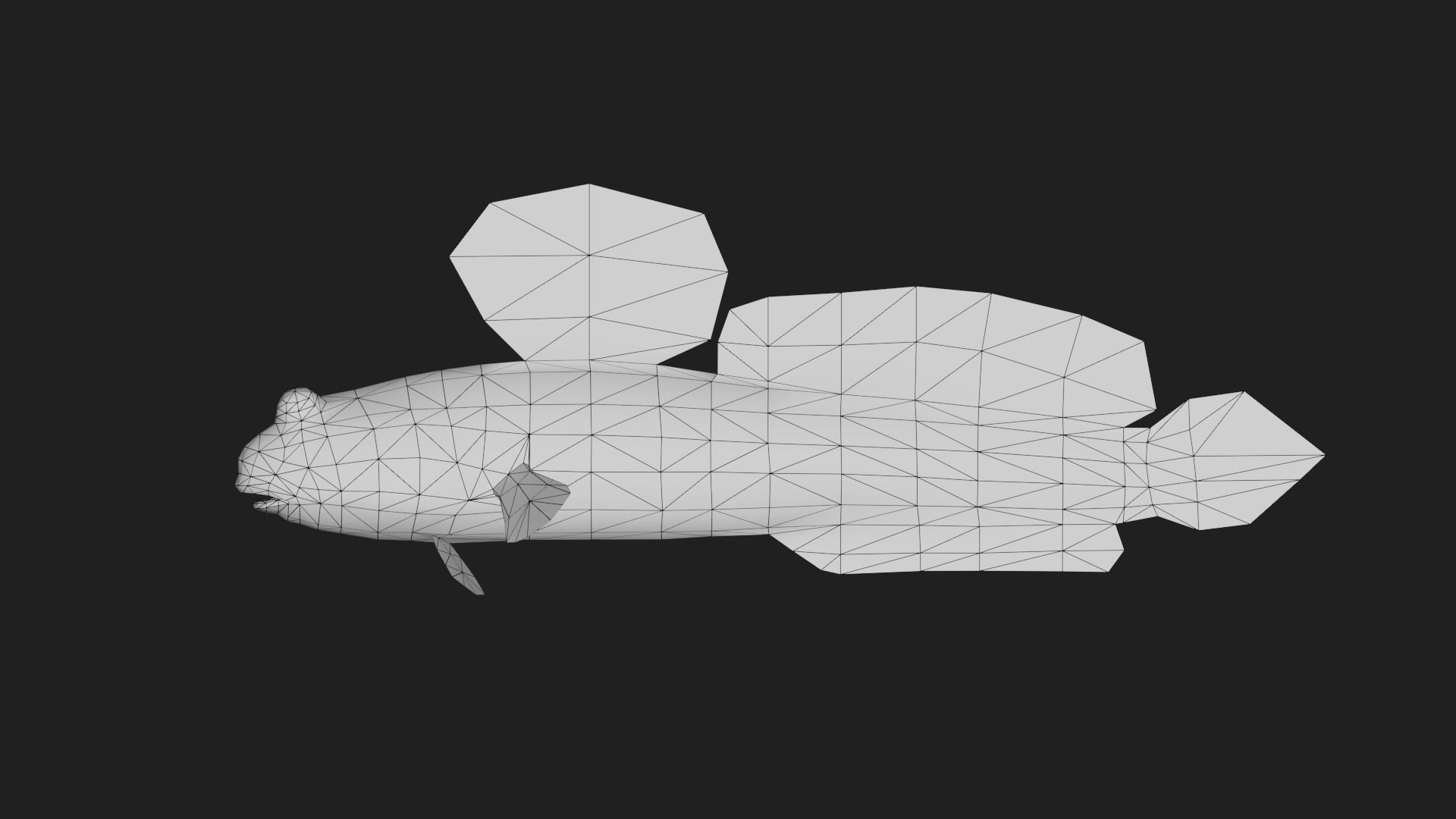 Mudskipper Low-poly 3D model_1