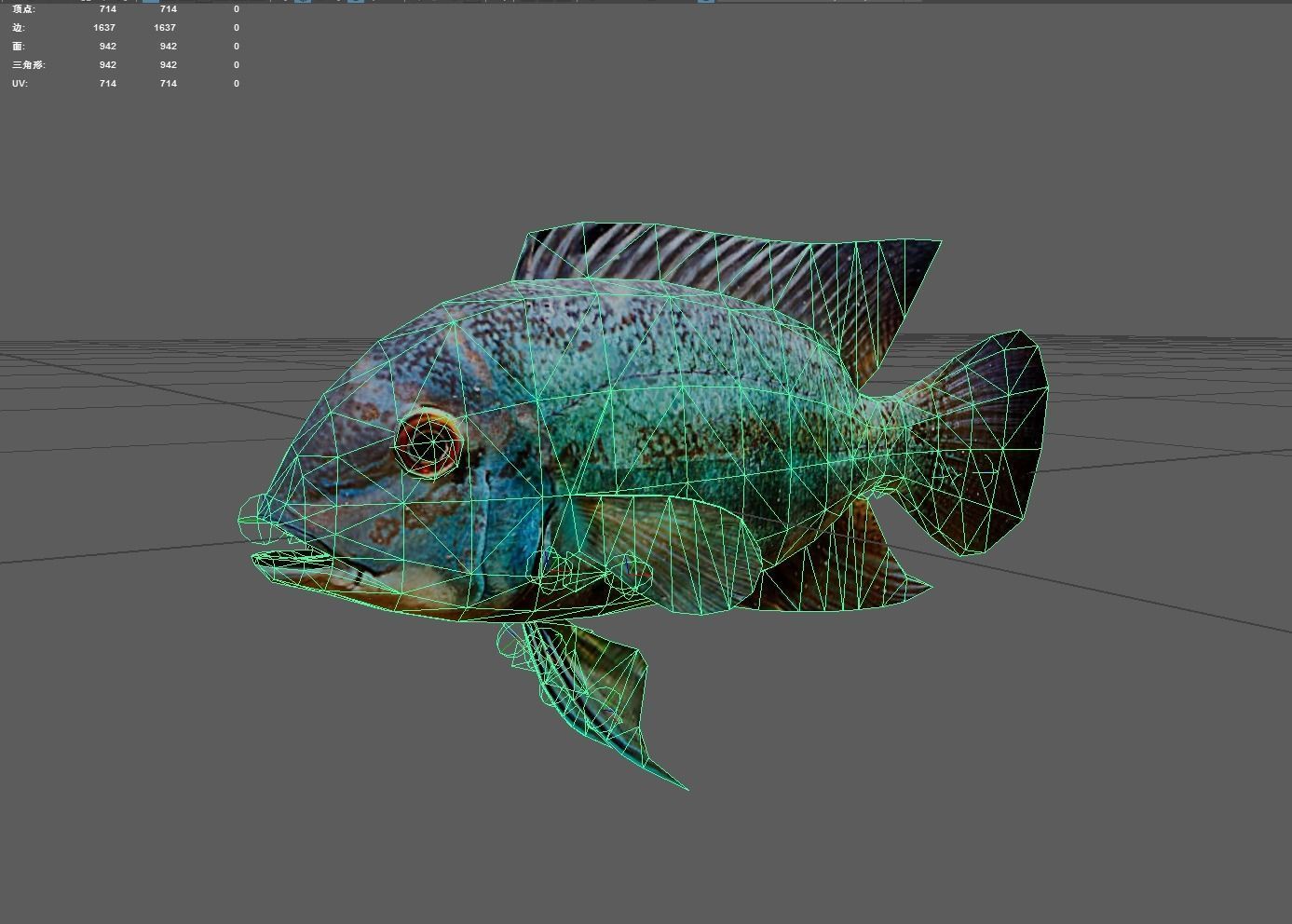 Parrotcichlid Low-poly 3D model_2