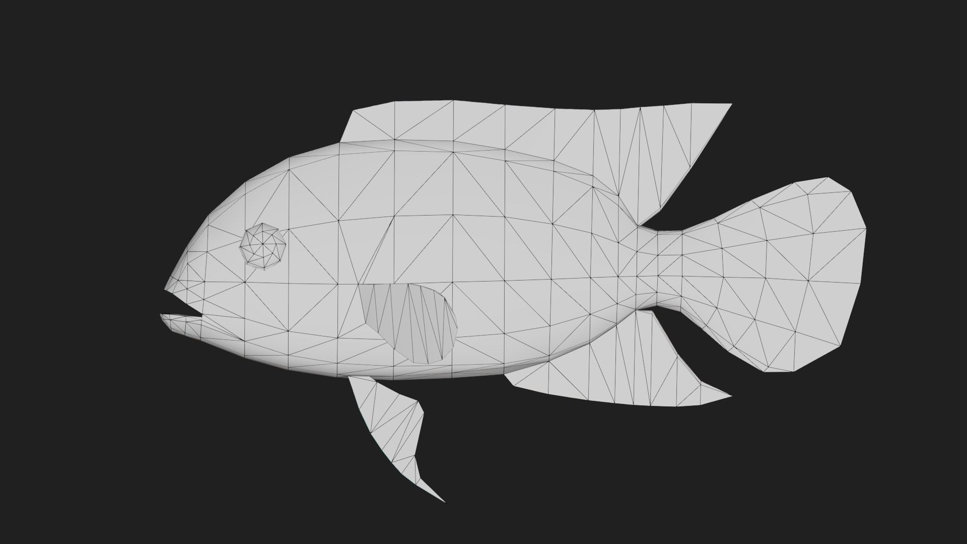 Parrotcichlid Low-poly 3D model_1