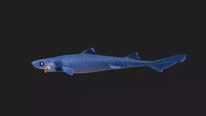 Cookiecuttershark
