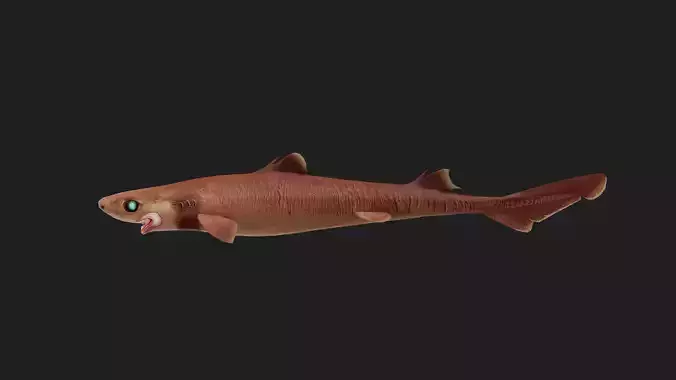 Cookiecuttershark