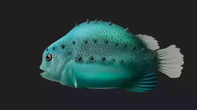 Lumpfish