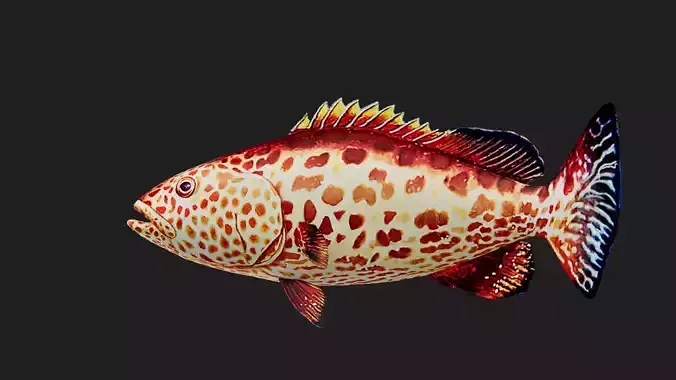 Grouper