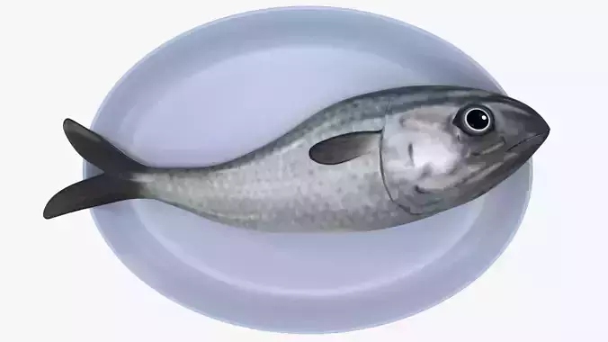 plate of rawfish Low-poly 3D model