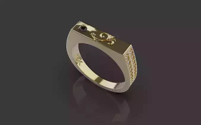 Rings 0087 3D print model