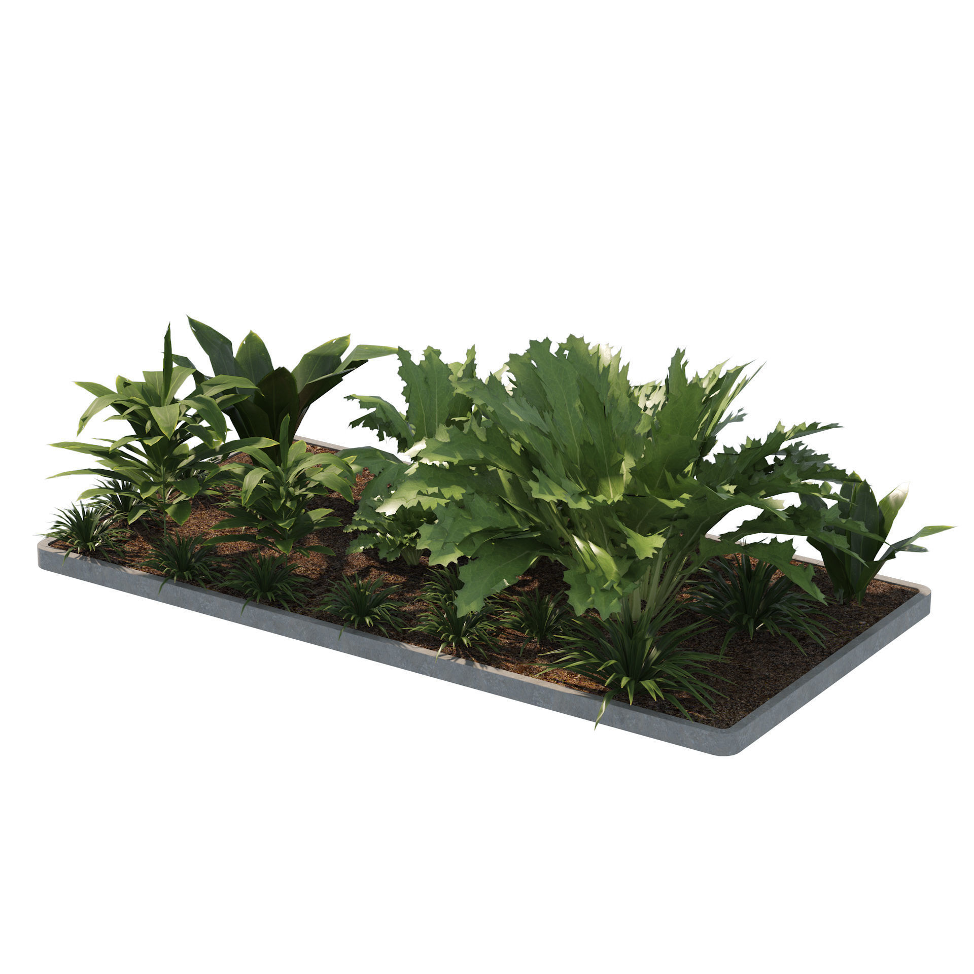 Low poly Tropical Plant grouping Low-poly 3D model_3