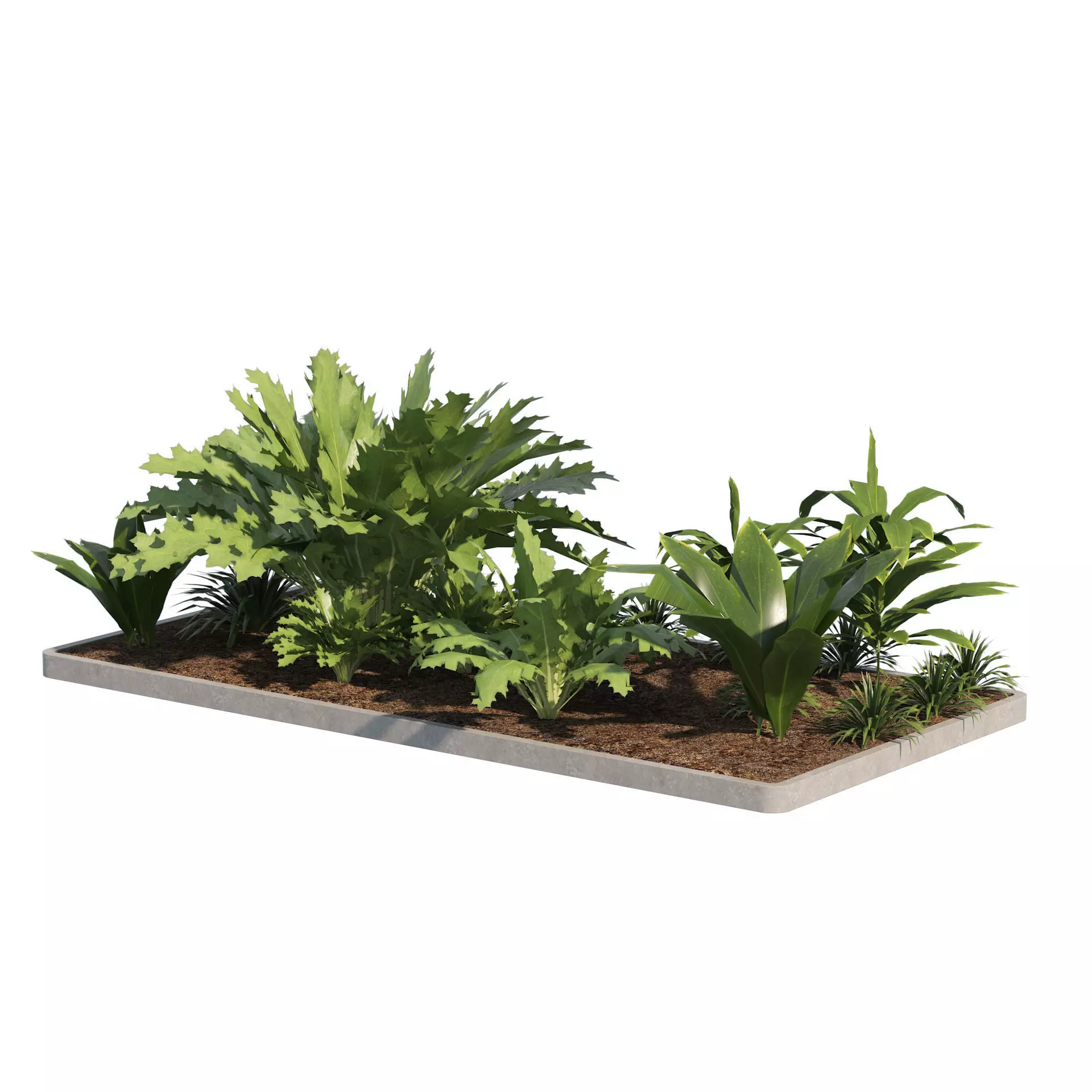 Low poly Tropical Plant grouping Low-poly 3D model_0