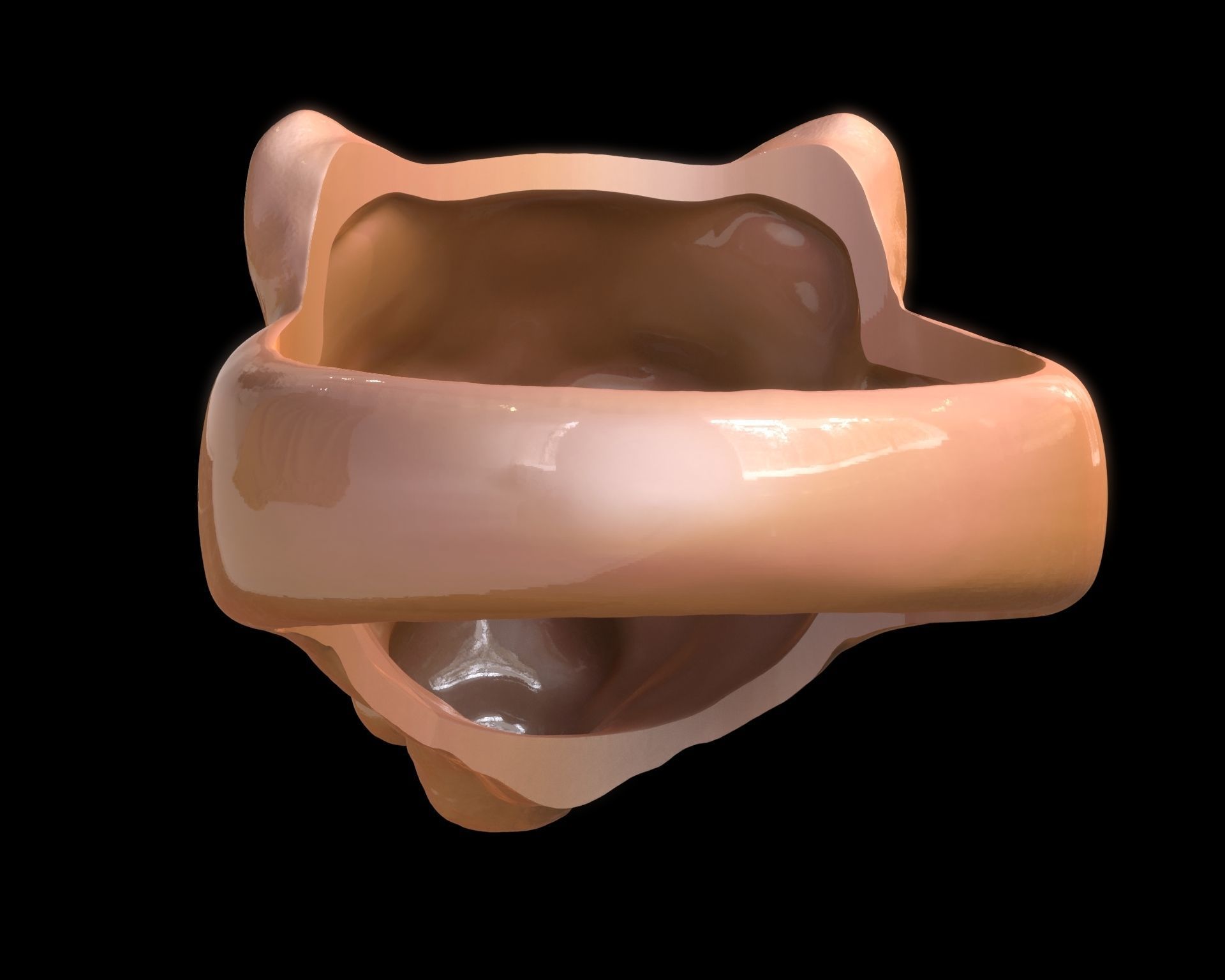 Lioness Ring 3D print model_14