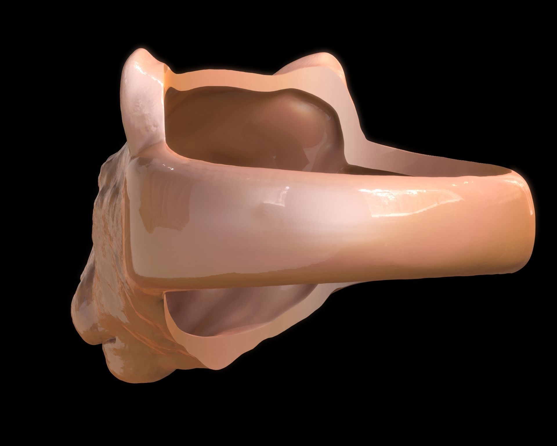 Lioness Ring 3D print model_16