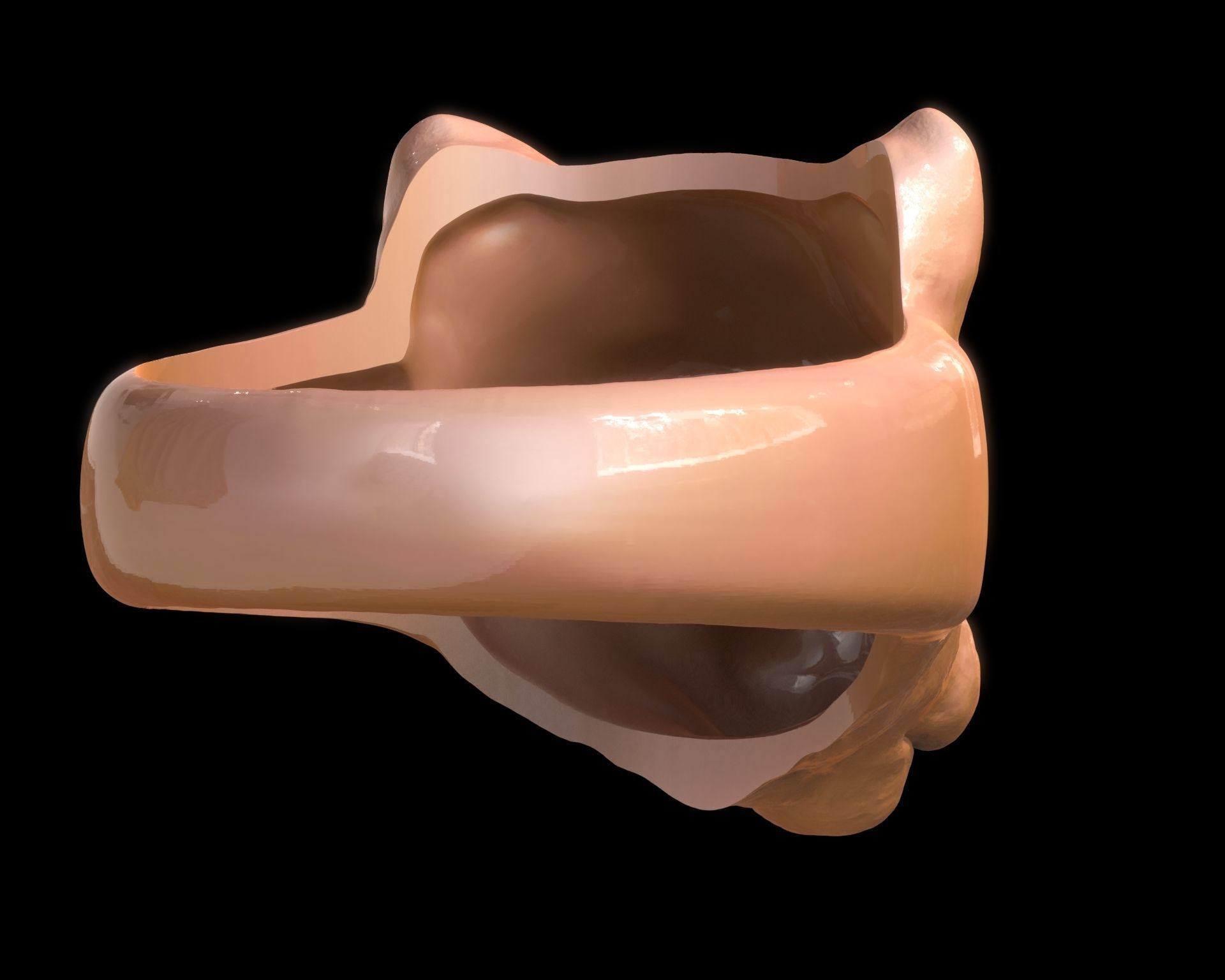 Lioness Ring 3D print model_11