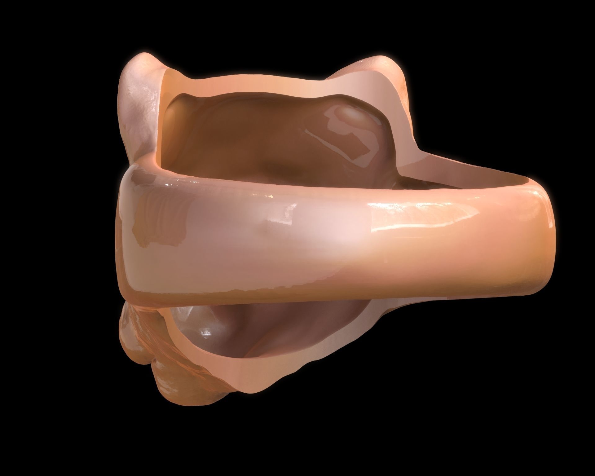 Lioness Ring 3D print model_15