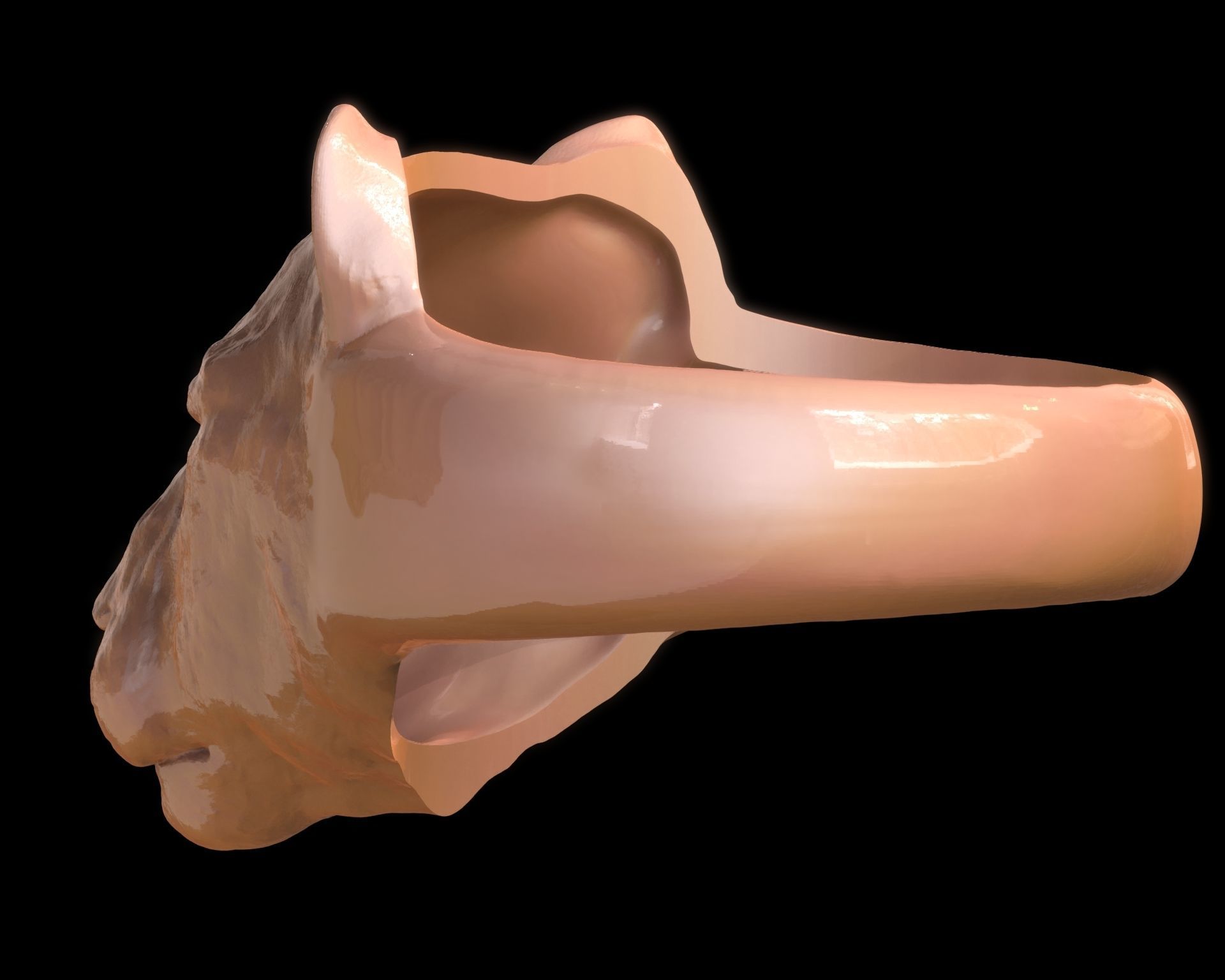 Lioness Ring 3D print model_17