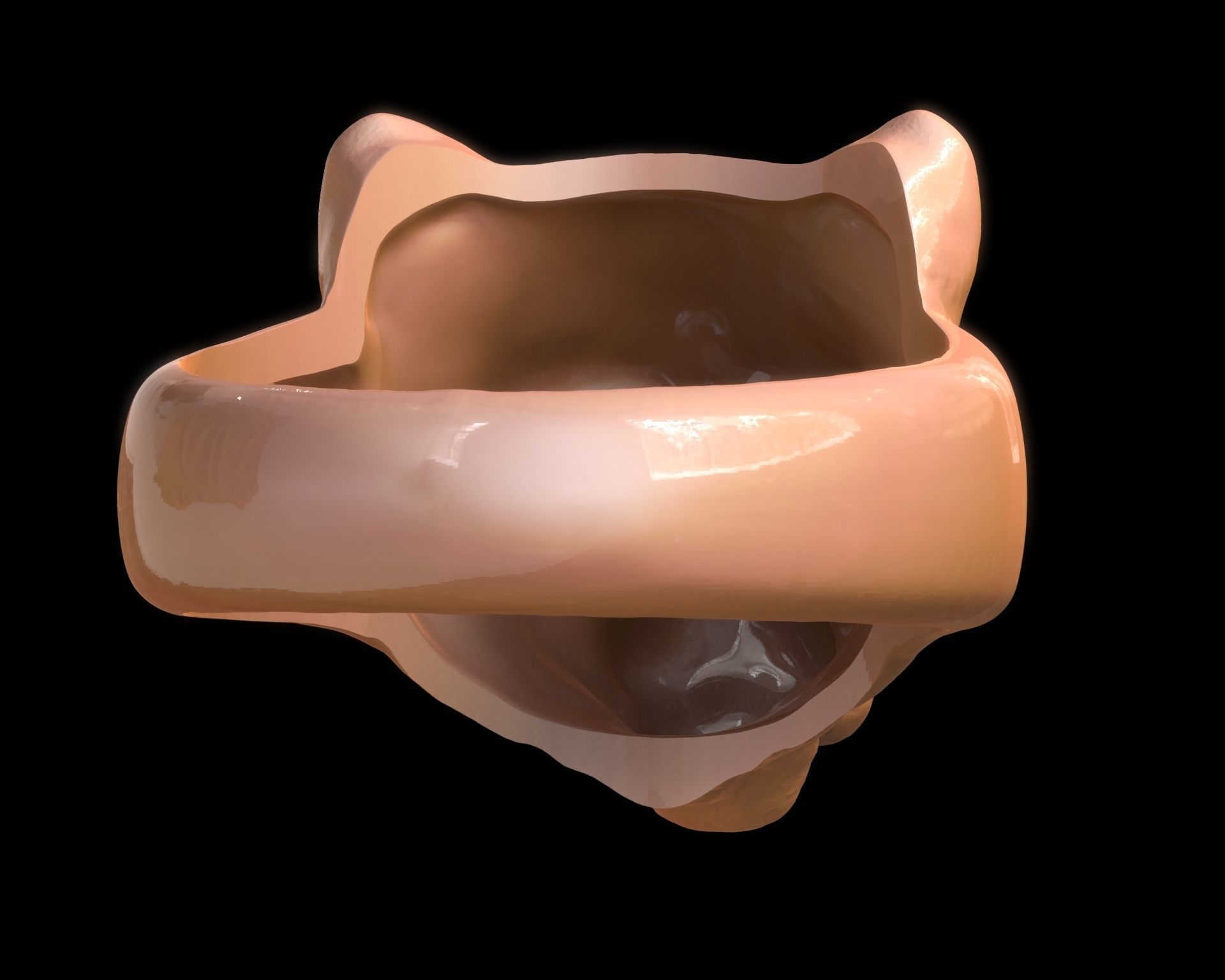 Lioness Ring 3D print model_12