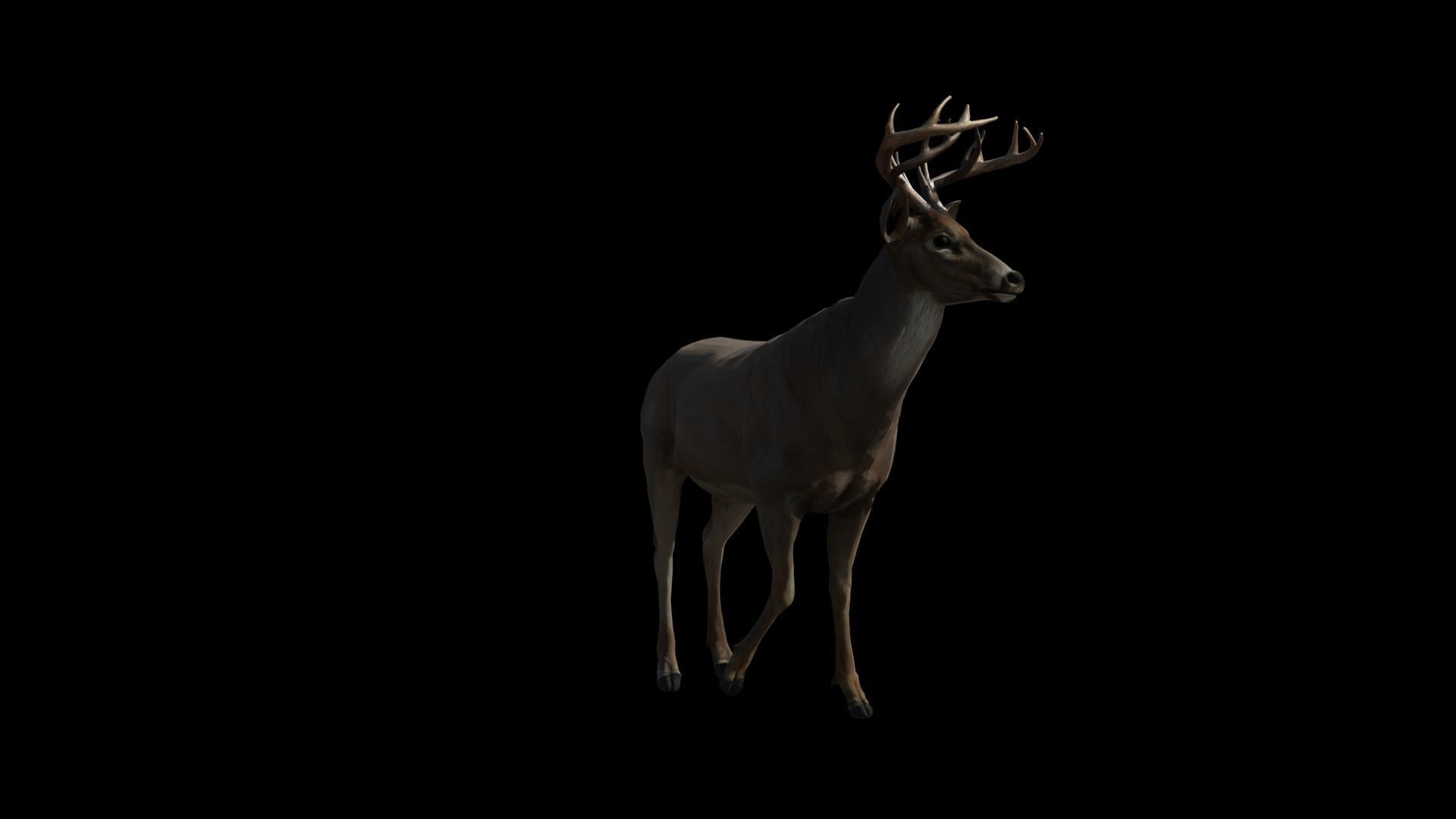 Deer lowpoly Textured 3D model_2