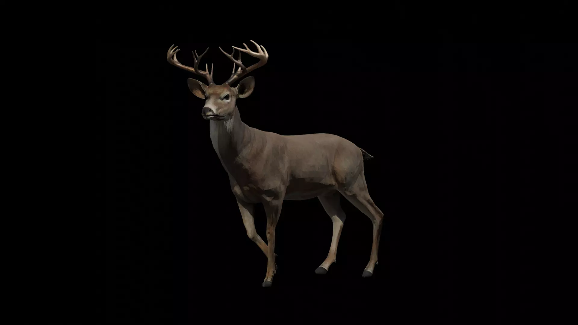 Deer lowpoly Textured 3D model_0