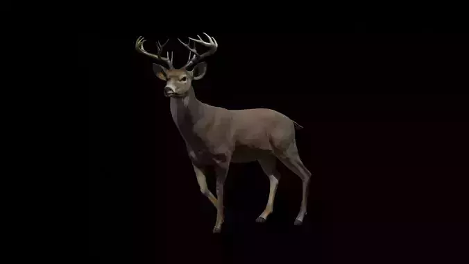 Deer lowpoly Textured