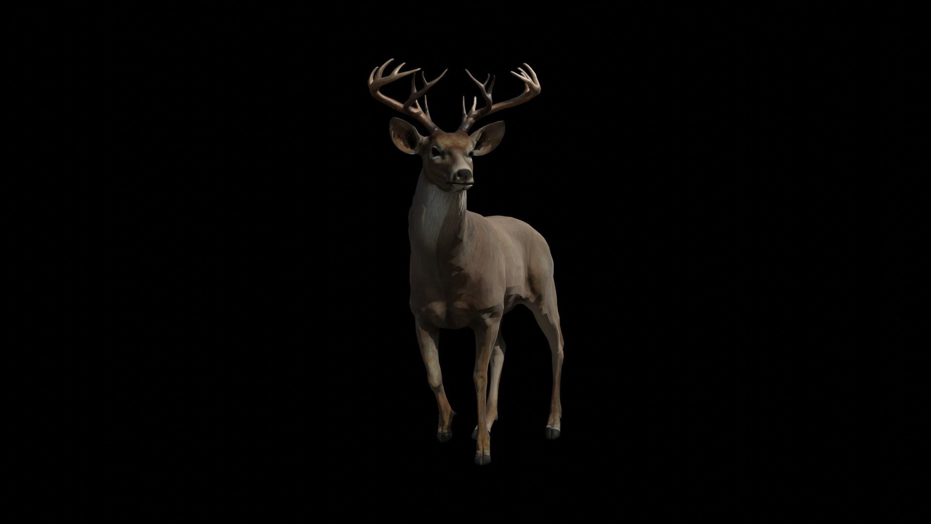 Deer lowpoly Textured 3D model_1