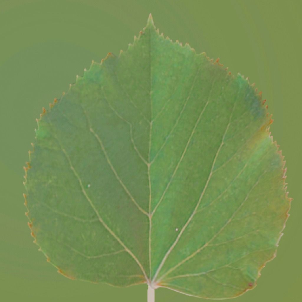 Luxury Modern Apartment Interior Design 3D model_10