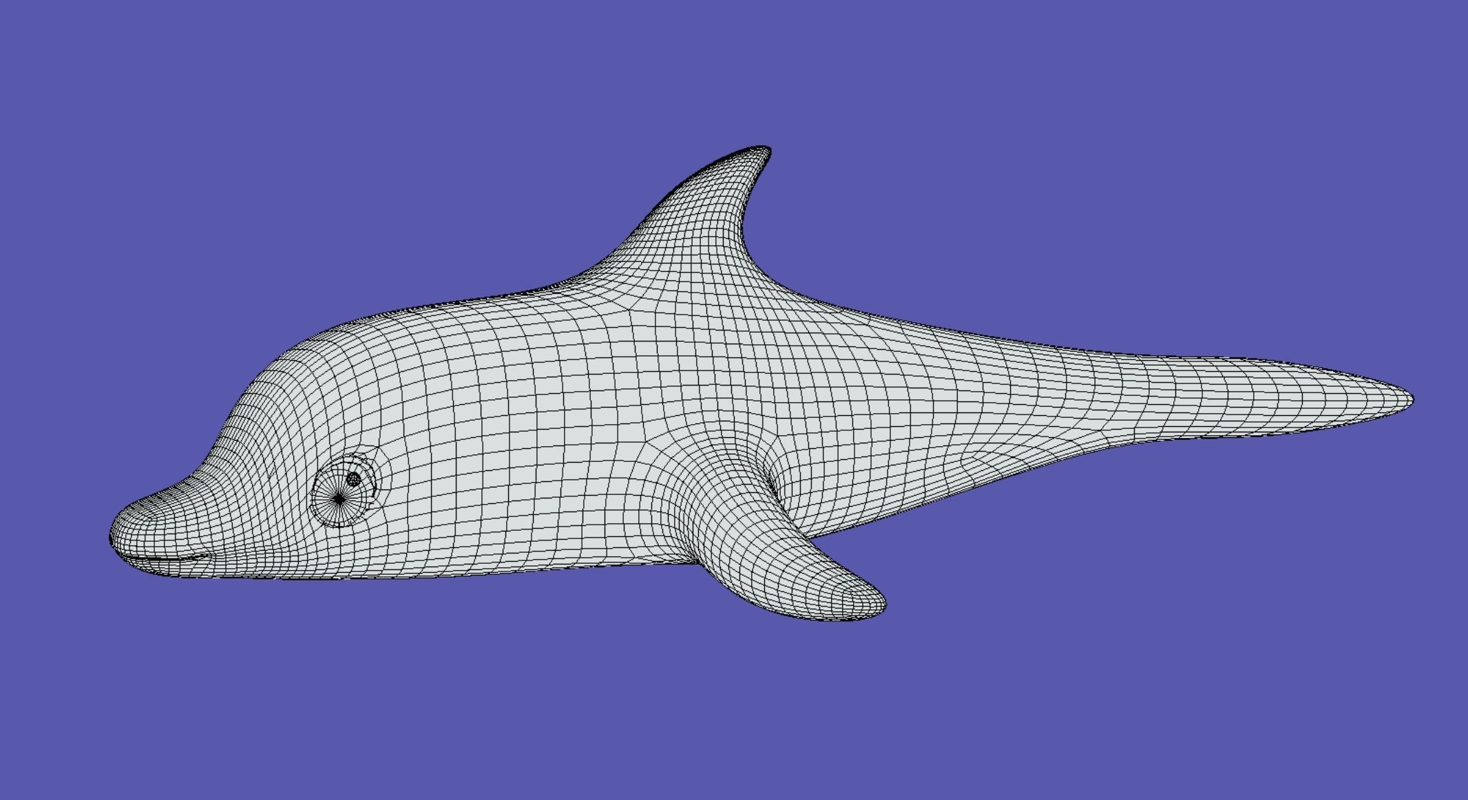 Stylized Toon Dolphin rigged Low-poly 3D model_2