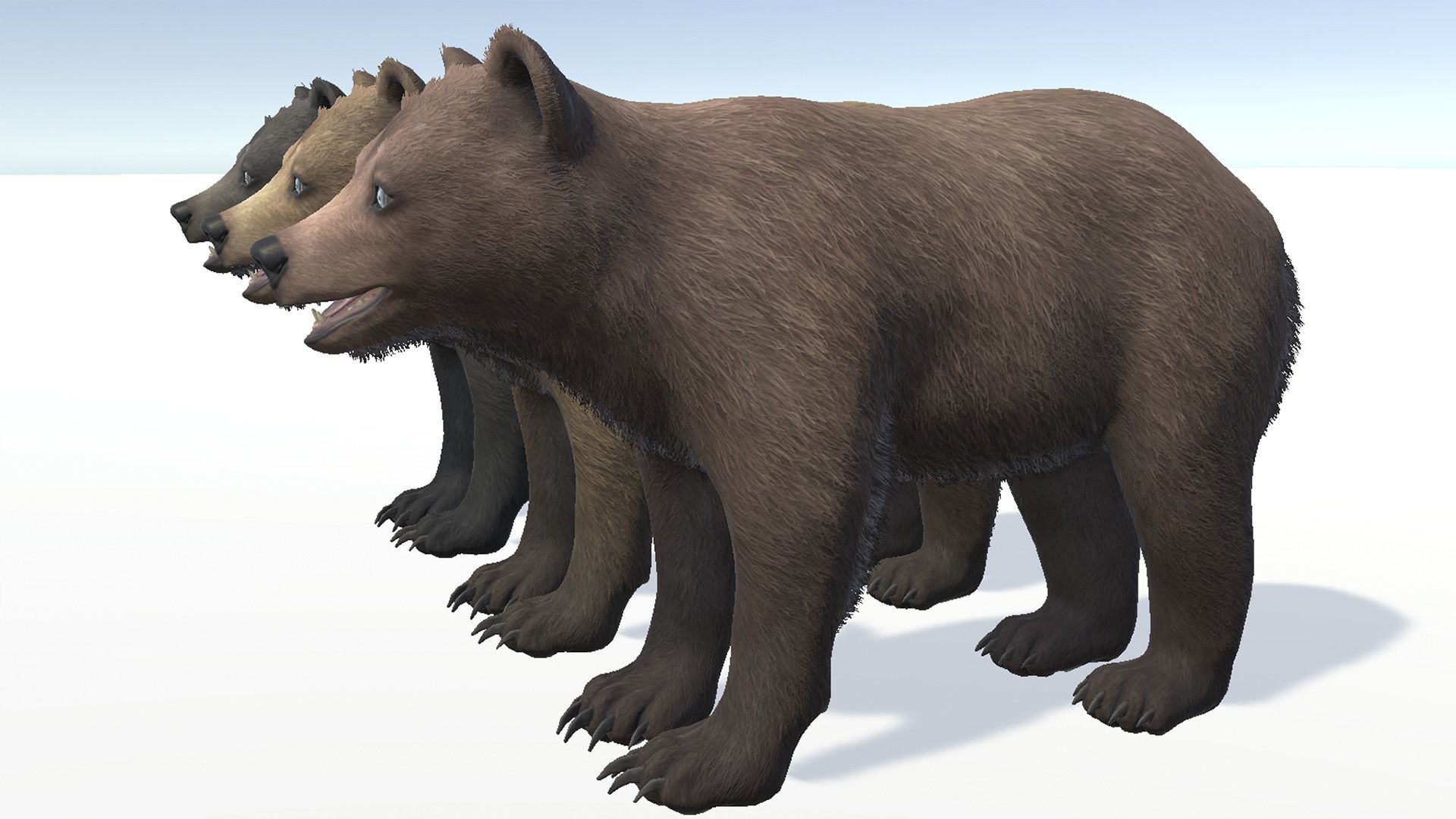 BEAR - CUB Low-poly 3D model_11