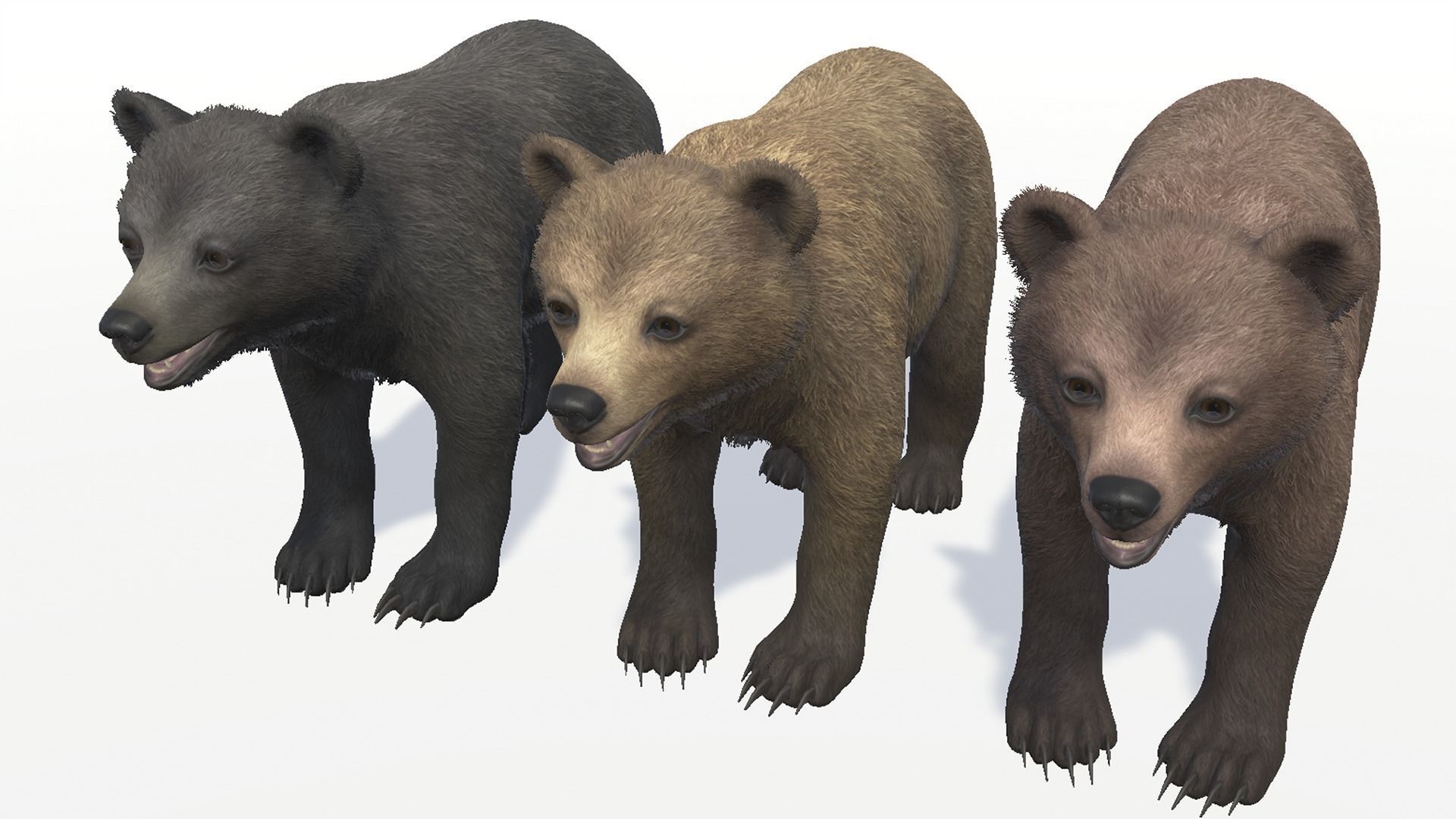 BEAR - CUB Low-poly 3D model_8