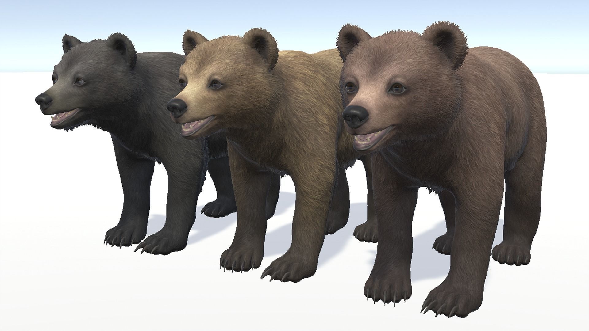 BEAR - CUB Low-poly 3D model_7