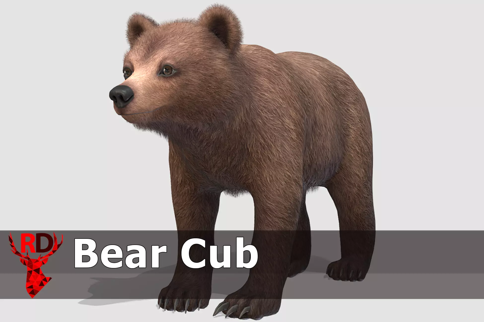 BEAR - CUB Low-poly 3D model_0