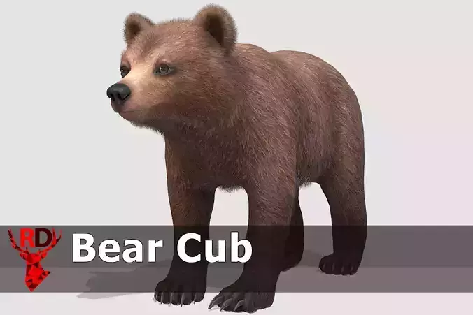 BEAR - CUB Low-poly 3D model