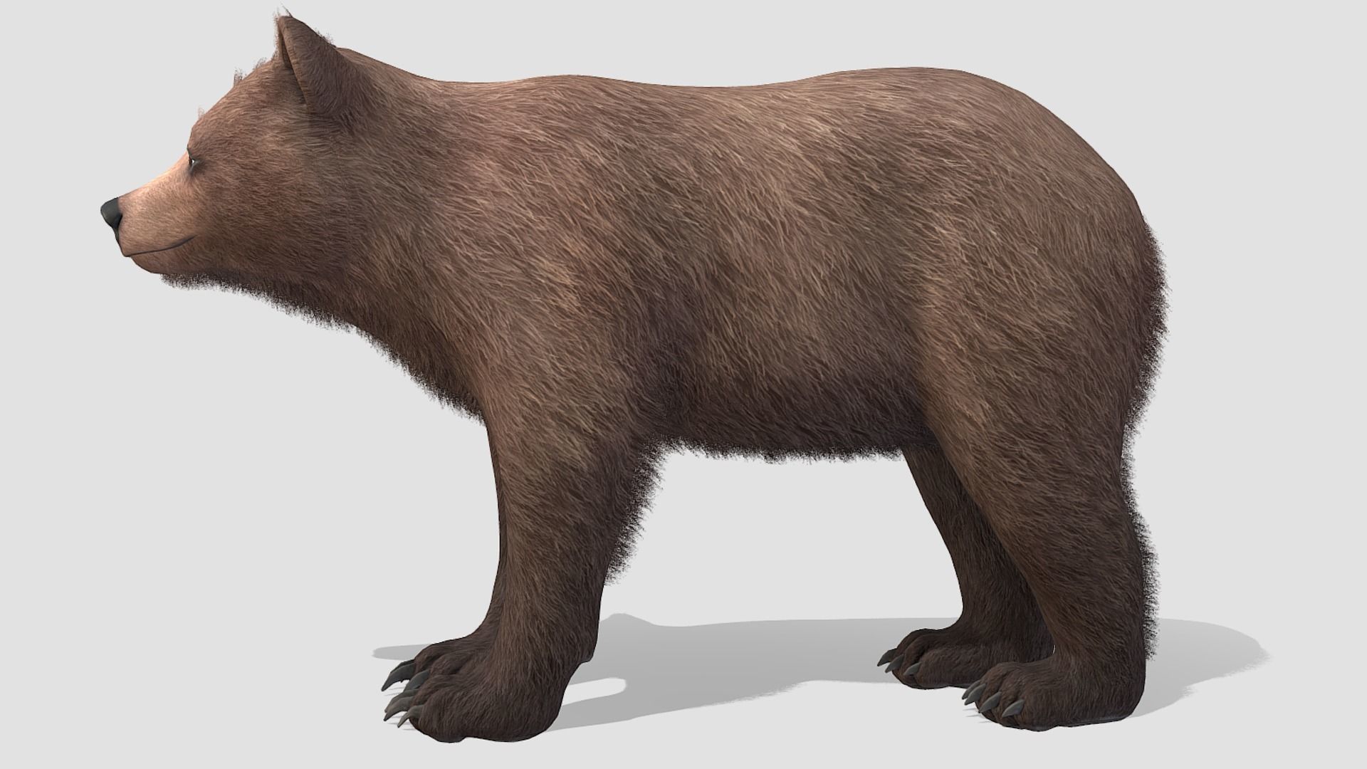 BEAR - CUB Low-poly 3D model_3