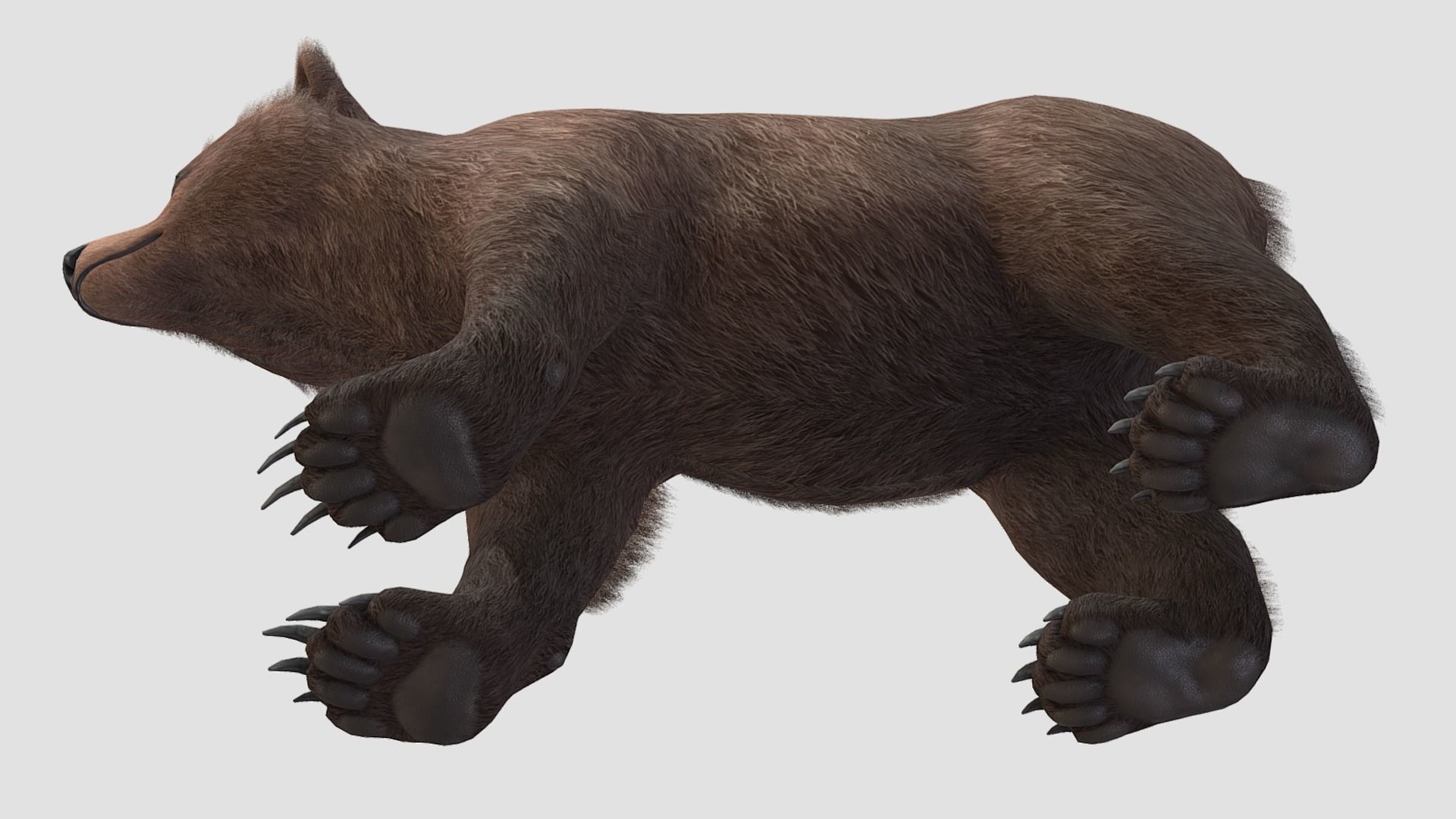 BEAR - CUB Low-poly 3D model_6
