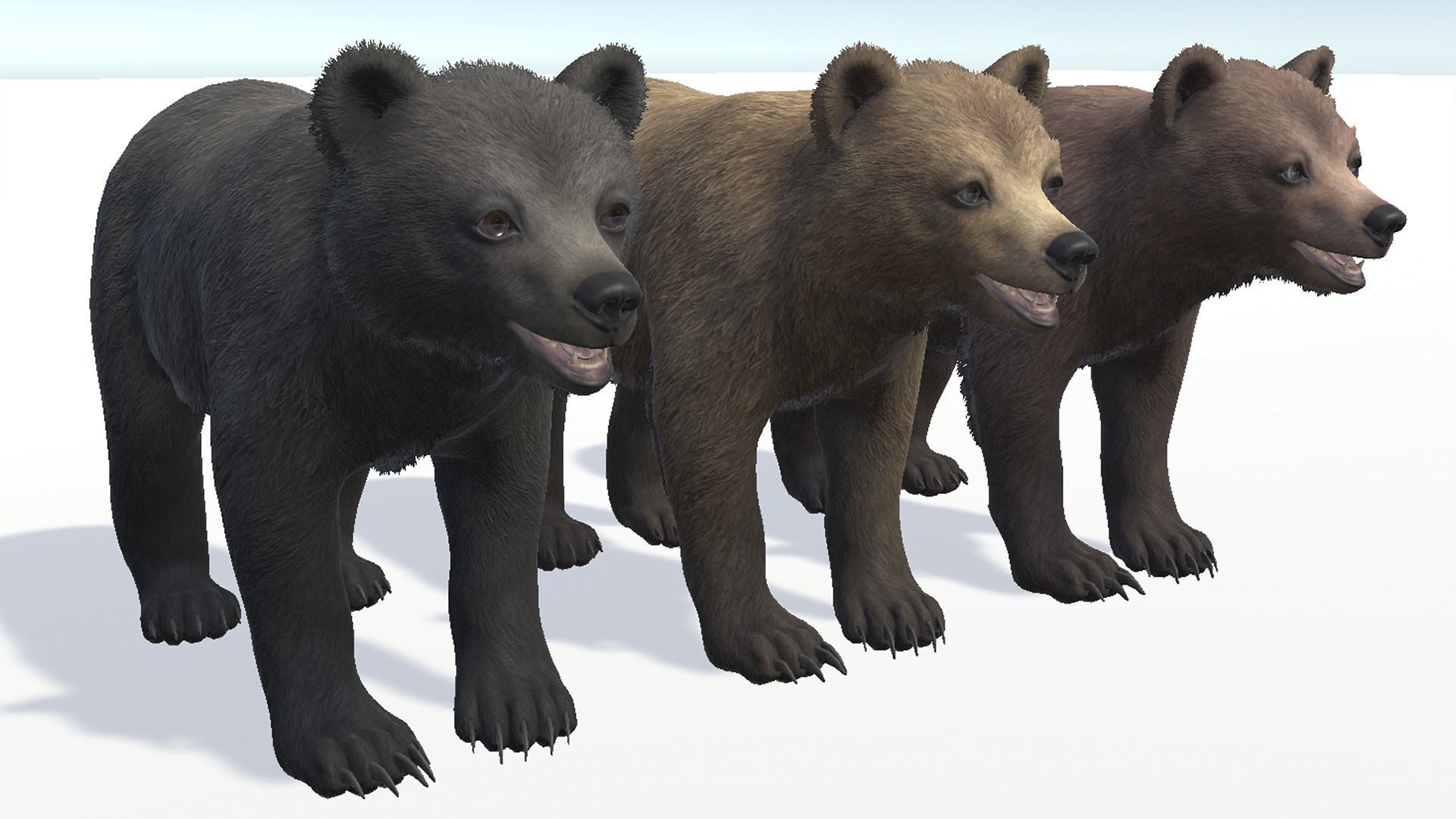 BEAR - CUB Low-poly 3D model_10