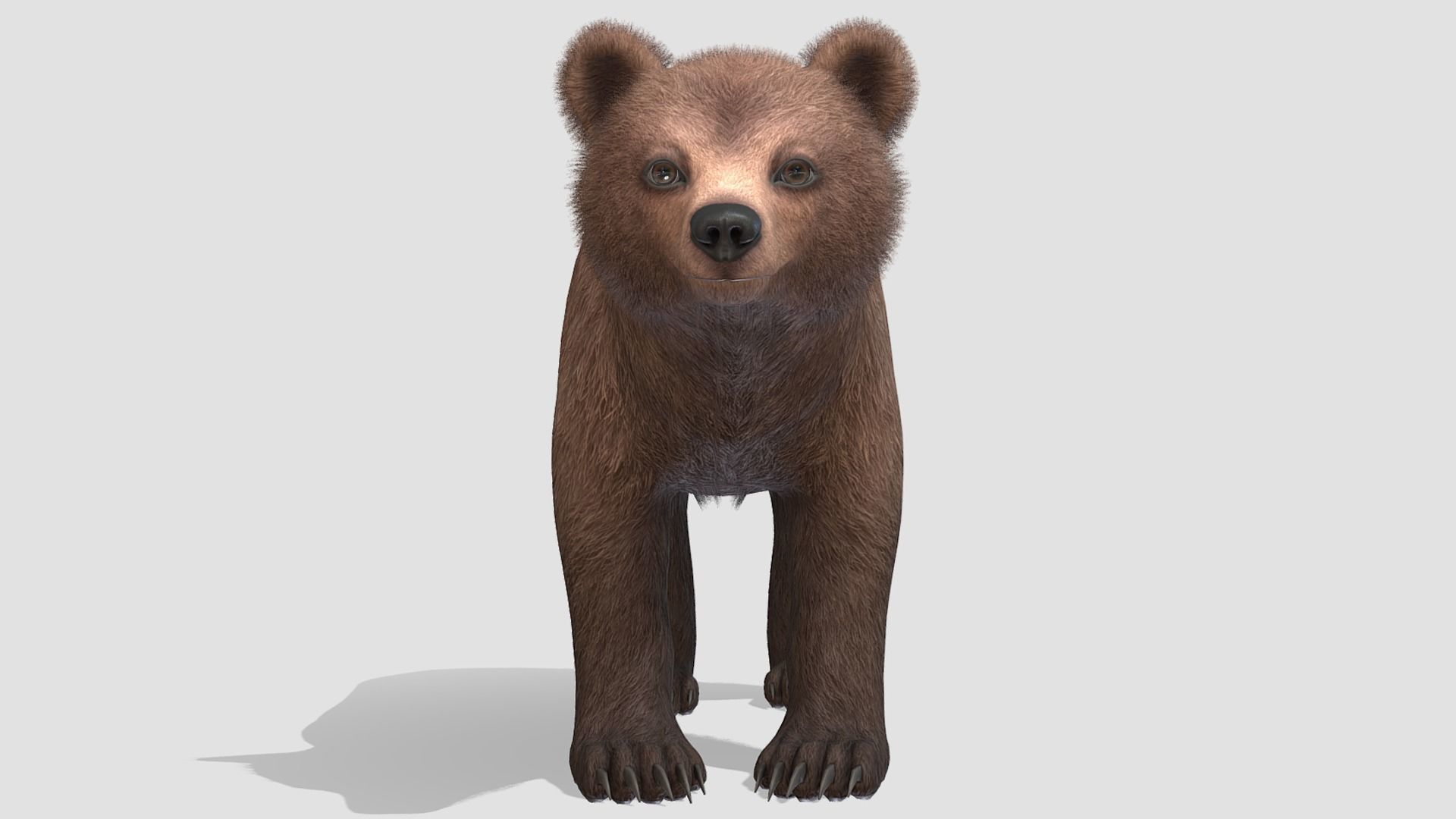 BEAR - CUB Low-poly 3D model_4
