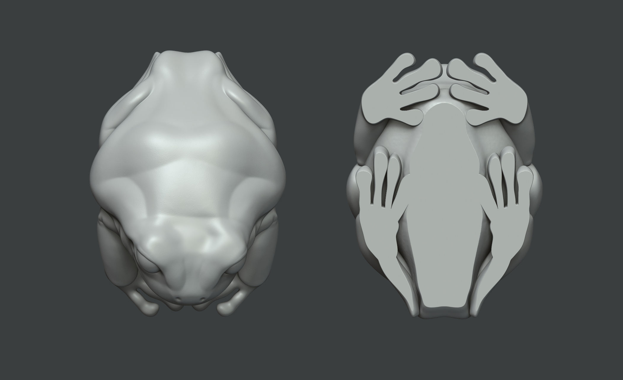 Smile Frog 3D model_5