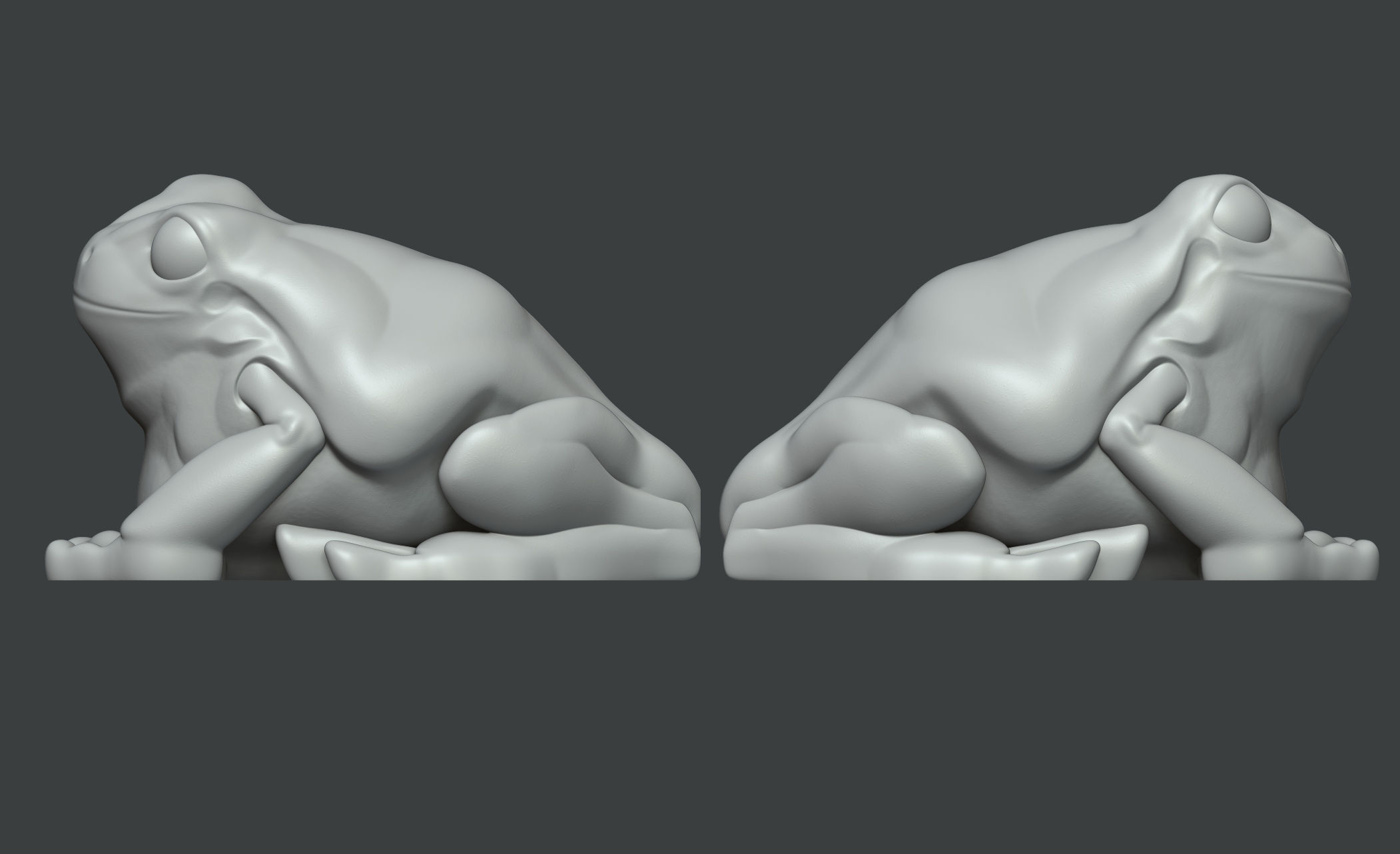 Smile Frog 3D model_3