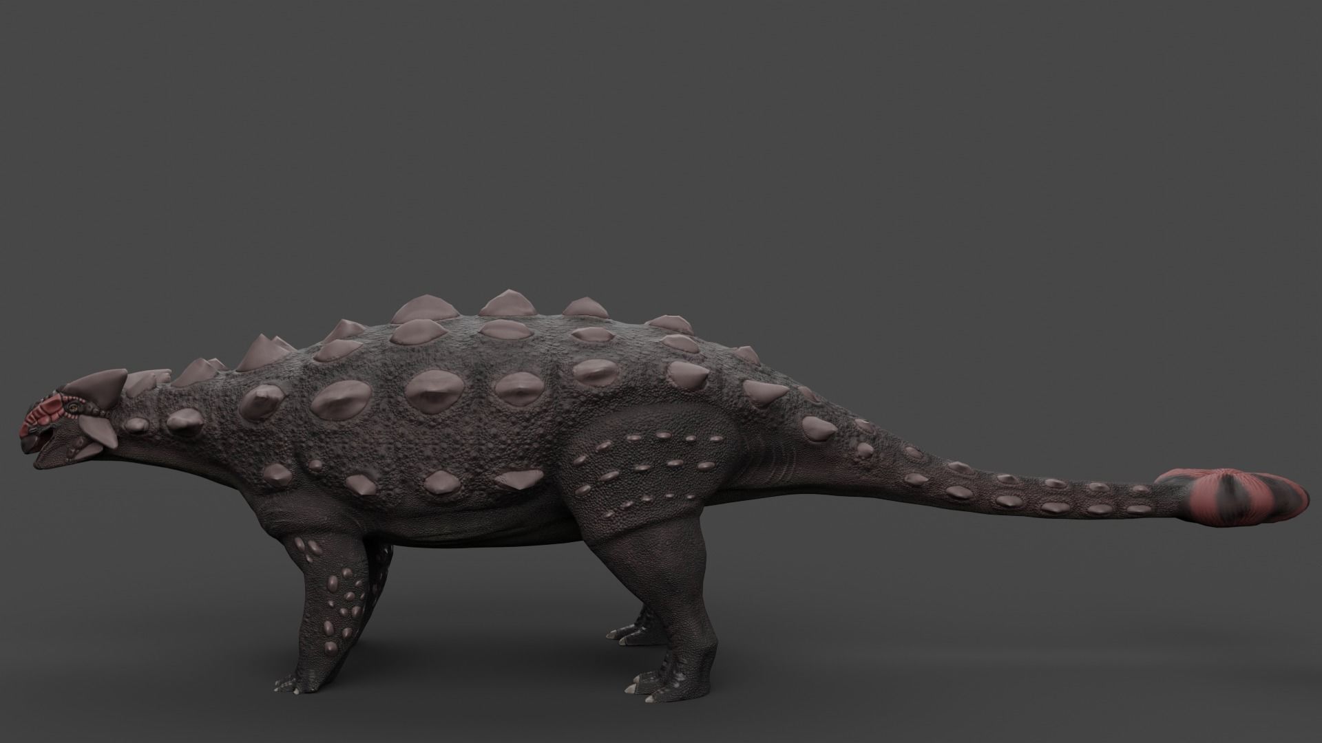 Ankylosaurus Low-poly 3D model_1
