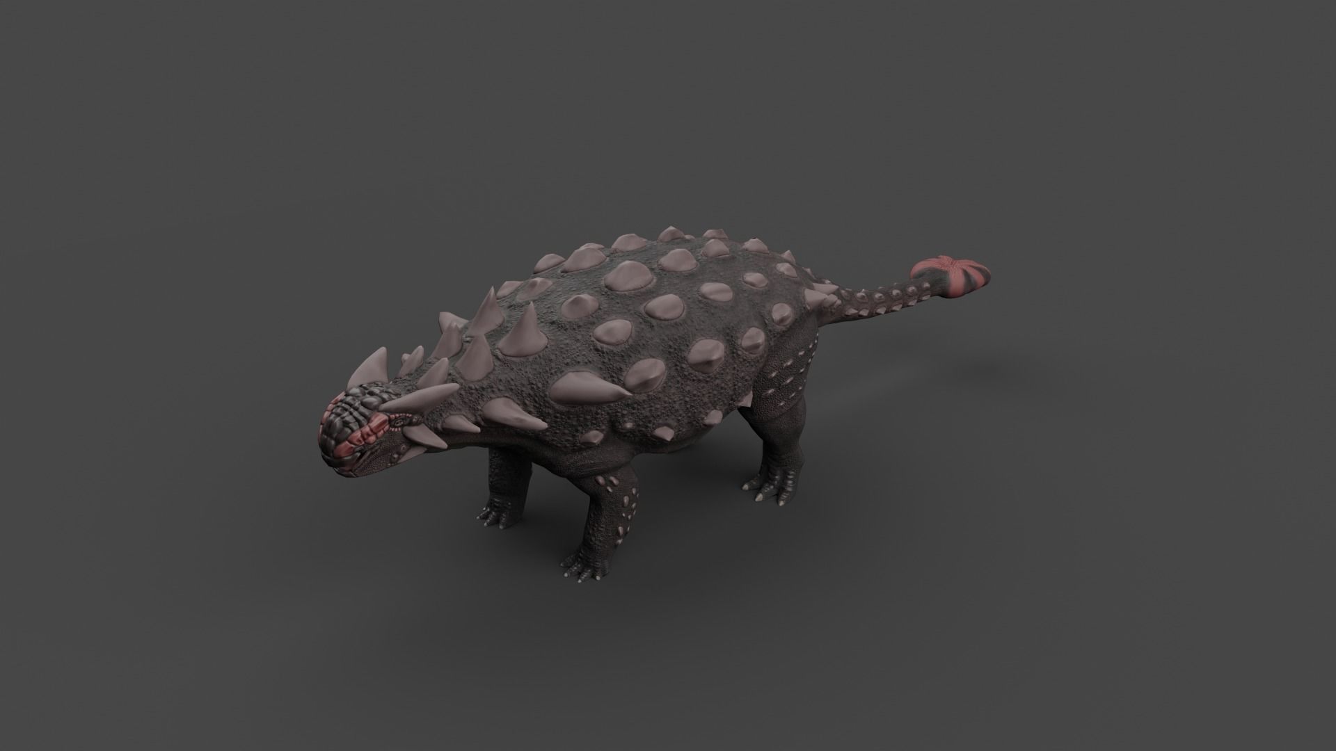 Ankylosaurus Low-poly 3D model_3