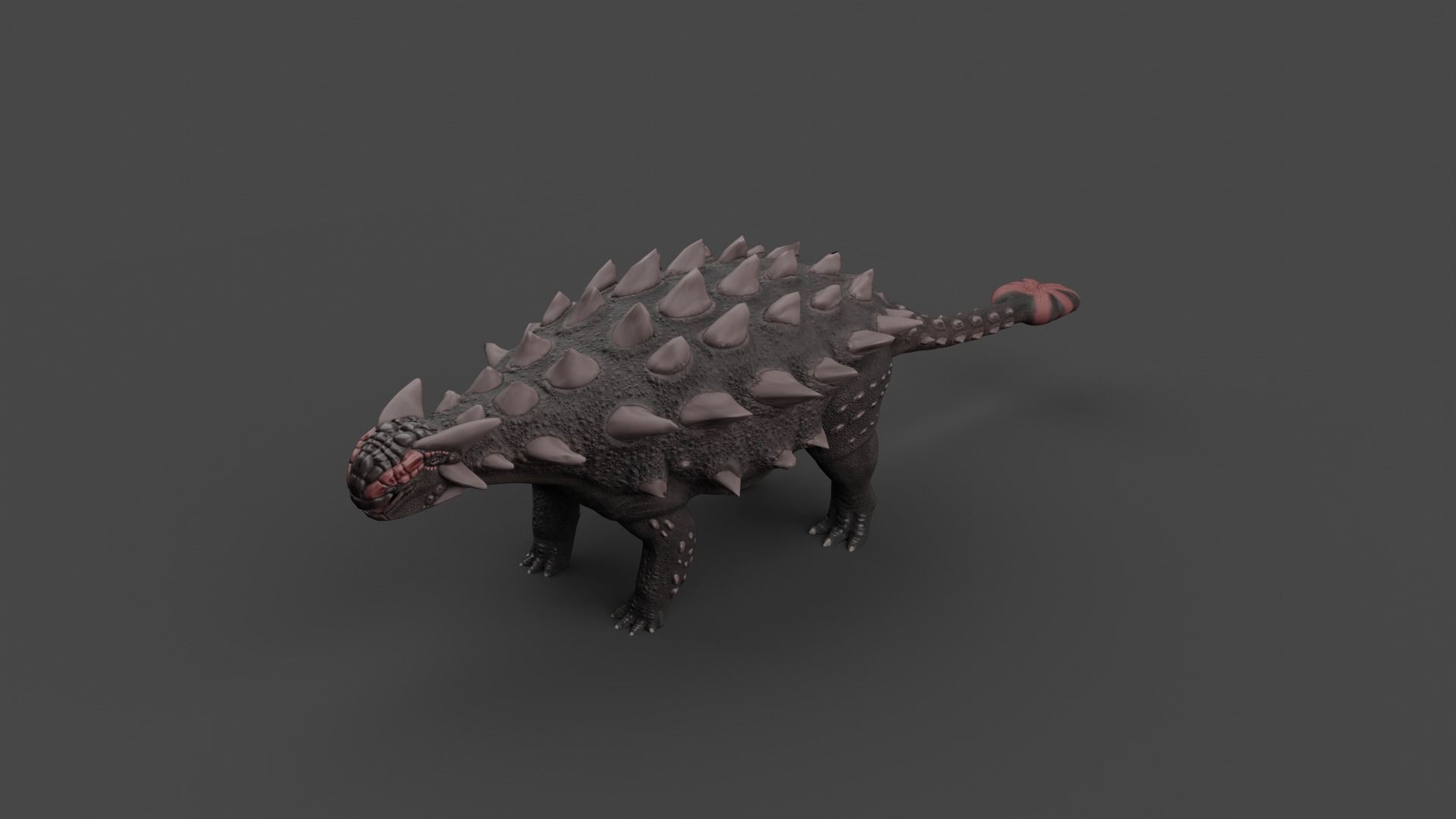 Ankylosaurus Low-poly 3D model_2